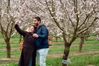 Un momento de una visita guiada por los campos en flor de Vinebre durante la floración del año pasado.