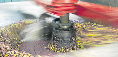 Desde mediados de octubre y hasta finales de diciembre, las tres DOP de aceite de oliva de la demarcación de Tarragona llevarán a cabo una nueva campaña.