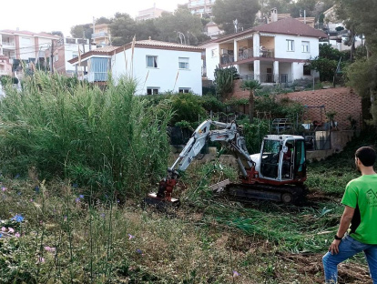 Muchas casas están junto al torrente.