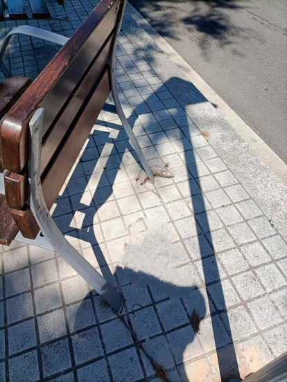 Una rata junto a uno de los bancos del barrio.