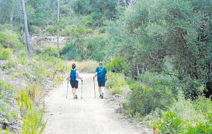 Senderistas en la ruta.