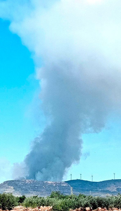 El incendio de Tortosa.