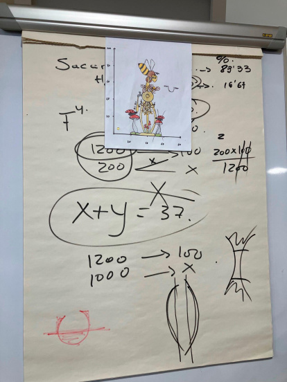 Todo debe estudiarse al detalle.