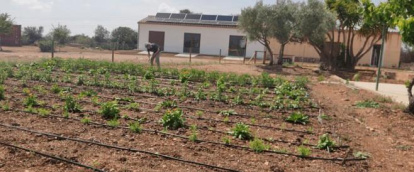 El Parc d’Olors de Terracuques