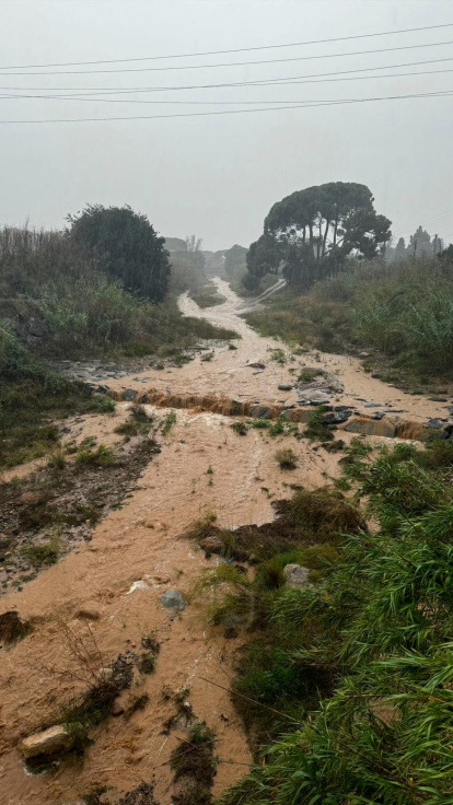 La riera de Maspujols, a su paso por Riudoms.