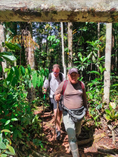 Travesía por la selva.