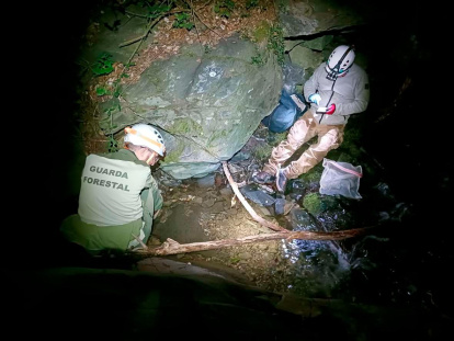 Liberación en riachuelos del Montseny.