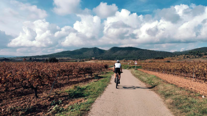 Uno de los senderos en bicicleta.