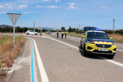 Los hechos han aocurrido en la carretera T-310.