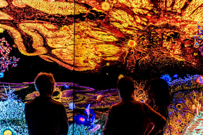 ‘El jardín de las delicias’ de la artista Anna Rierola.