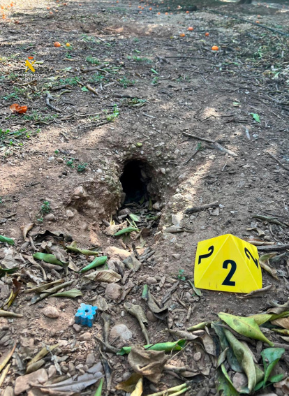 Una de las entradas de las madrigueras de conejos donde se echaba el raticida.
