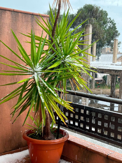 Imagen de la granizada en Santa Bàrbara.