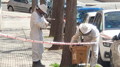 Dos bomberos vestidos con un traje de apicultor.