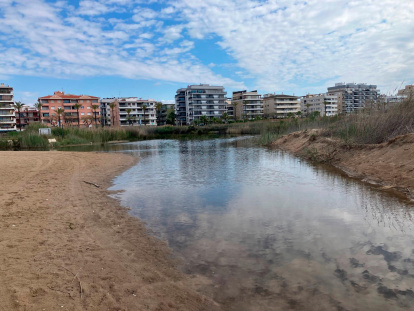 El cangrejo azul ha colonizado la zona.