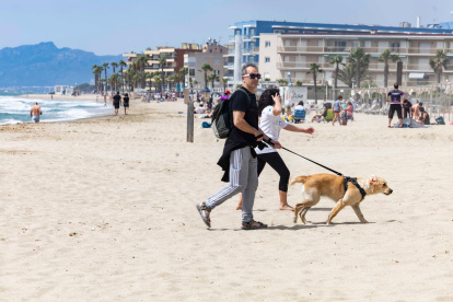 No todos los municipios costeros tienen zonas habilitadas para perros.