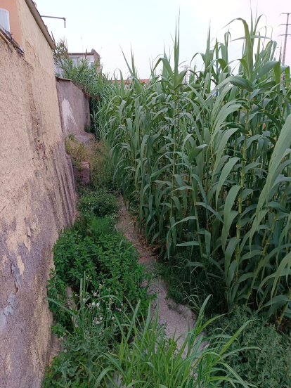 Els veïns del barri Sol-i-vista assenyalen que la riera no compleix les condicions mínimes de salubritat.