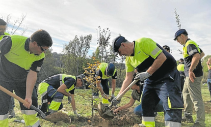 Empleados de la planta de Essity en Puigpelat, durante la Semana de la Sostenibilidad.
