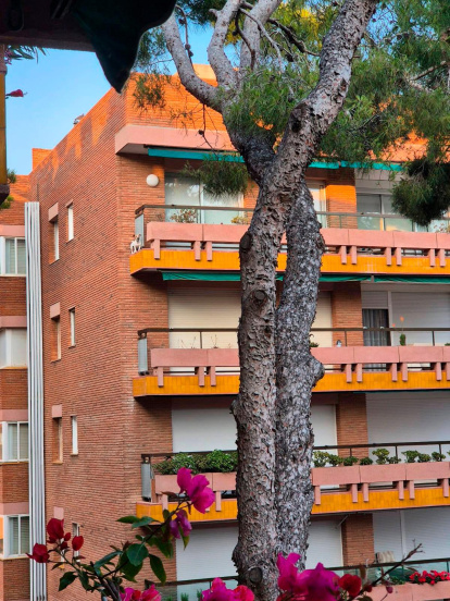 Elperro en el último piso de este edificio de Torredembarra.