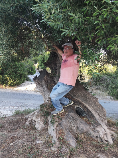 Lo Cente tras retirar las tramas bajas y las hierbas del gran olivo.