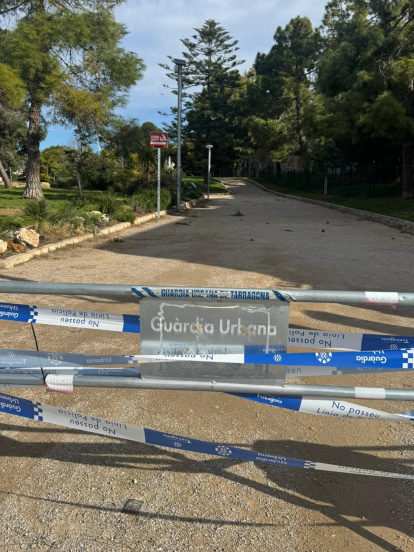 Acceso cortado por riesgo de caída de árboles.